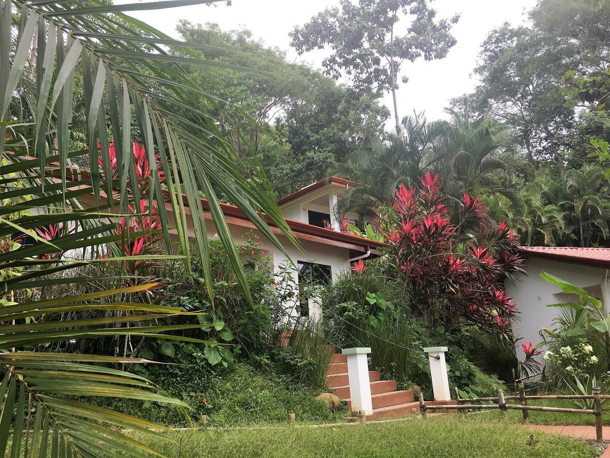 Casa Del Toucan โดมินิกัล ภายนอก รูปภาพ