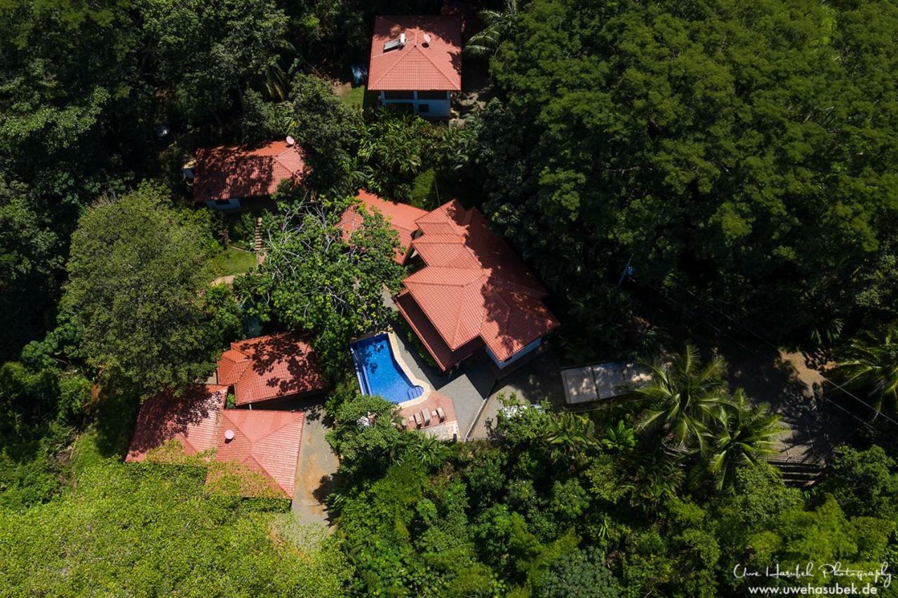 Casa Del Toucan โดมินิกัล ภายนอก รูปภาพ